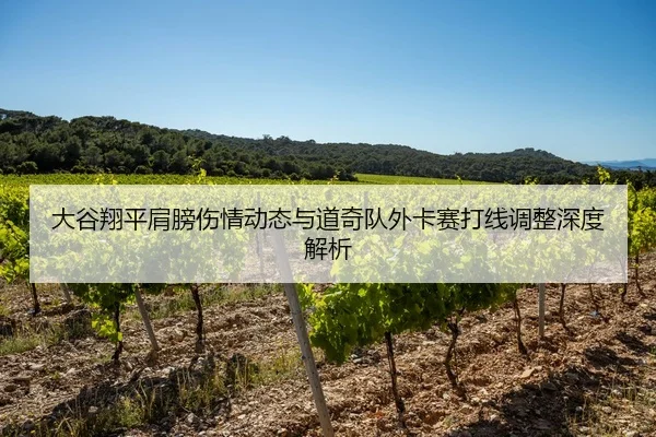 大谷翔平肩膀伤情动态与道奇队外卡赛打线调整深度解析